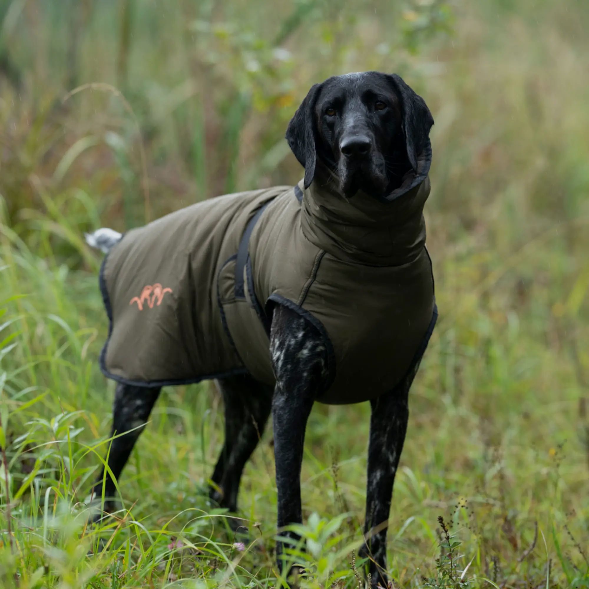 Blaser poncho dla psów (oliwkowy)