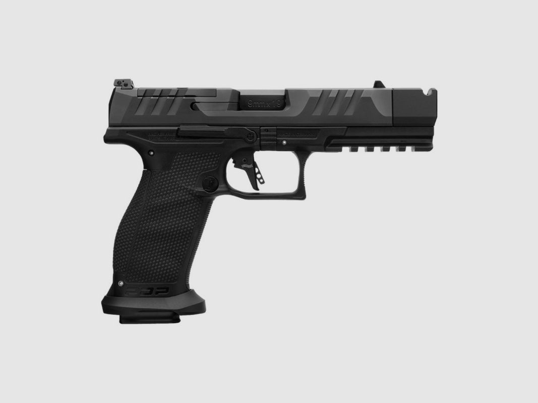 PDP PRO-X FS 4,6", immagine 1 di 3