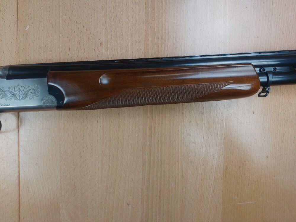 Franchi, Italien Alcione