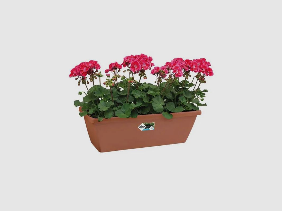 Lot de 8 Balconnières Elho® 70x16cm en plastique effet terre cuite, image 3 sur 11