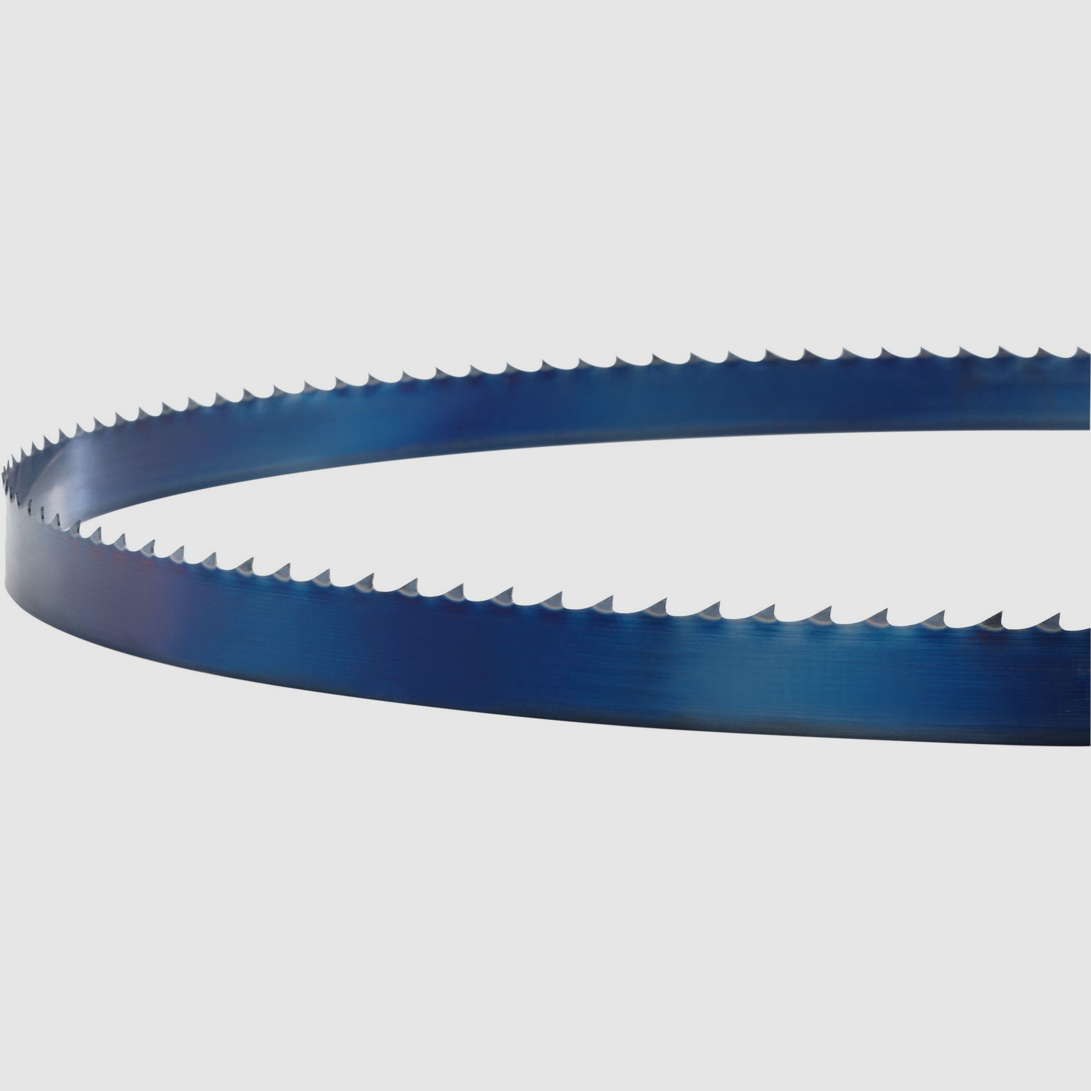 Wintersteiger Sgen Bandsgeblatt Flex-back 10