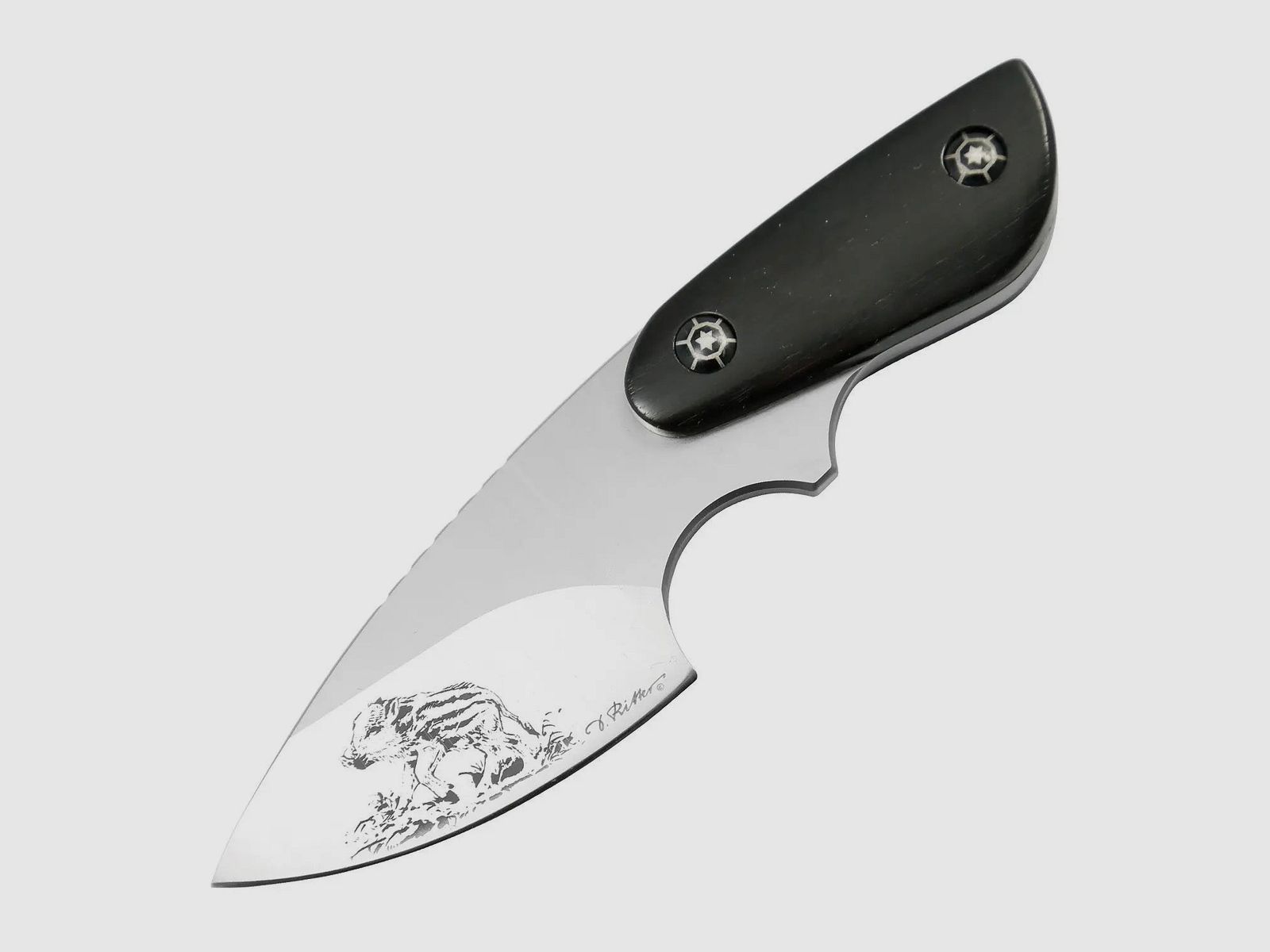 PUMA IP sanglier, ébène, couteau de cou