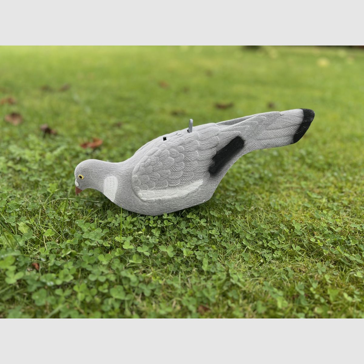 LOCKTAUBE demi-coquille recouvert de feutre avec piquet de terre