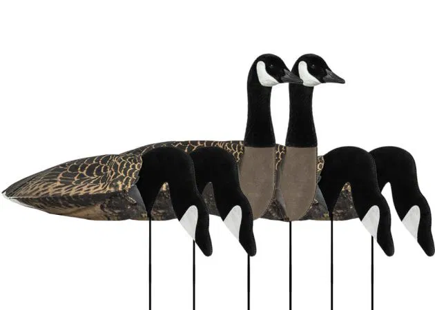 Ganzenlokkers Sillosocks 2D/3D Canadese Gans Harvester 6 pack, afbeelding 1 van 3