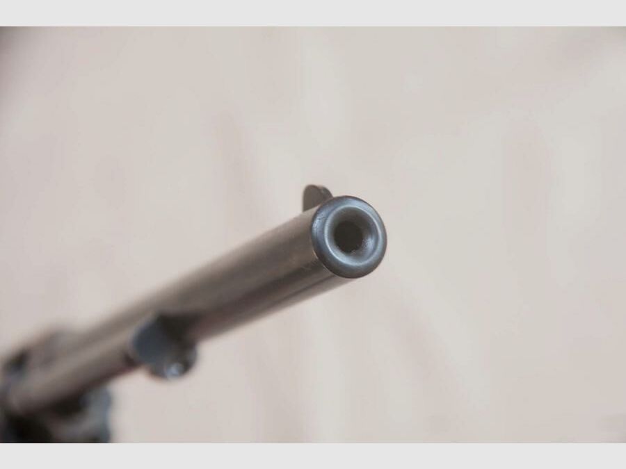 Colt	 Peacemaker .22 Buntline