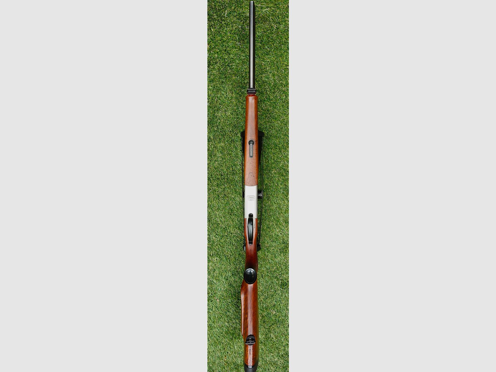Blaser BS 95 6,5x57 & .222rem