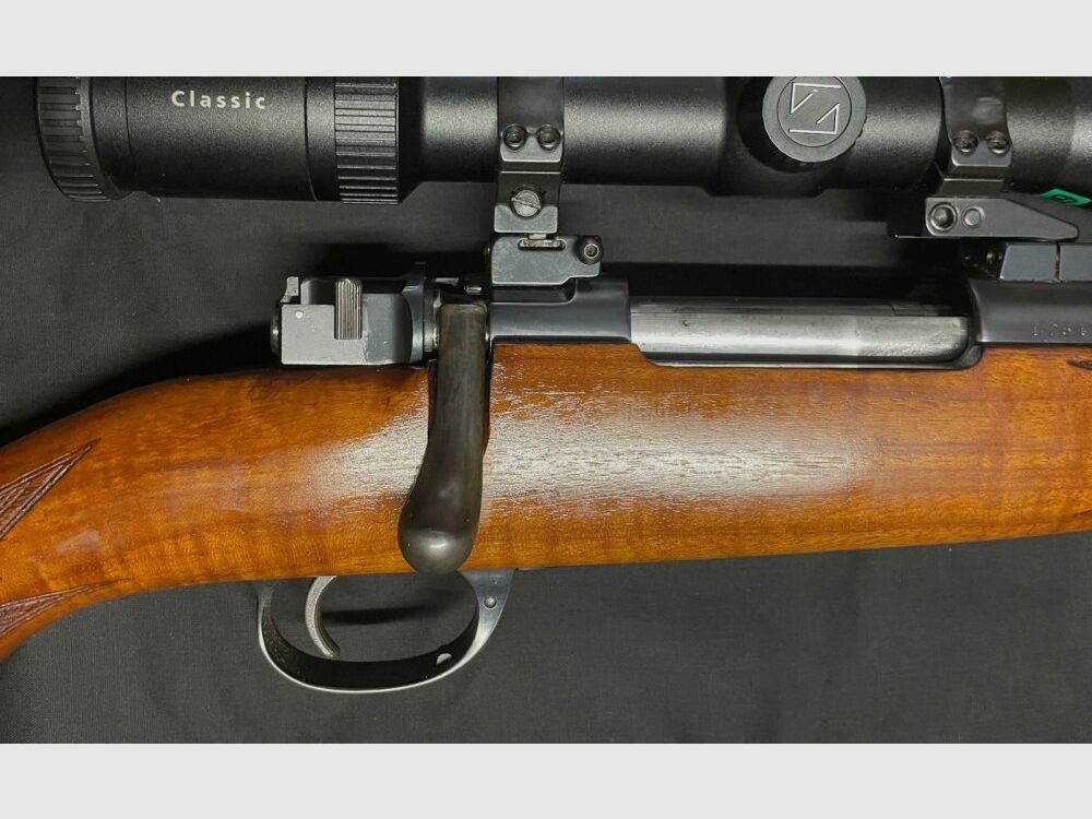 Modelo Argentino 98