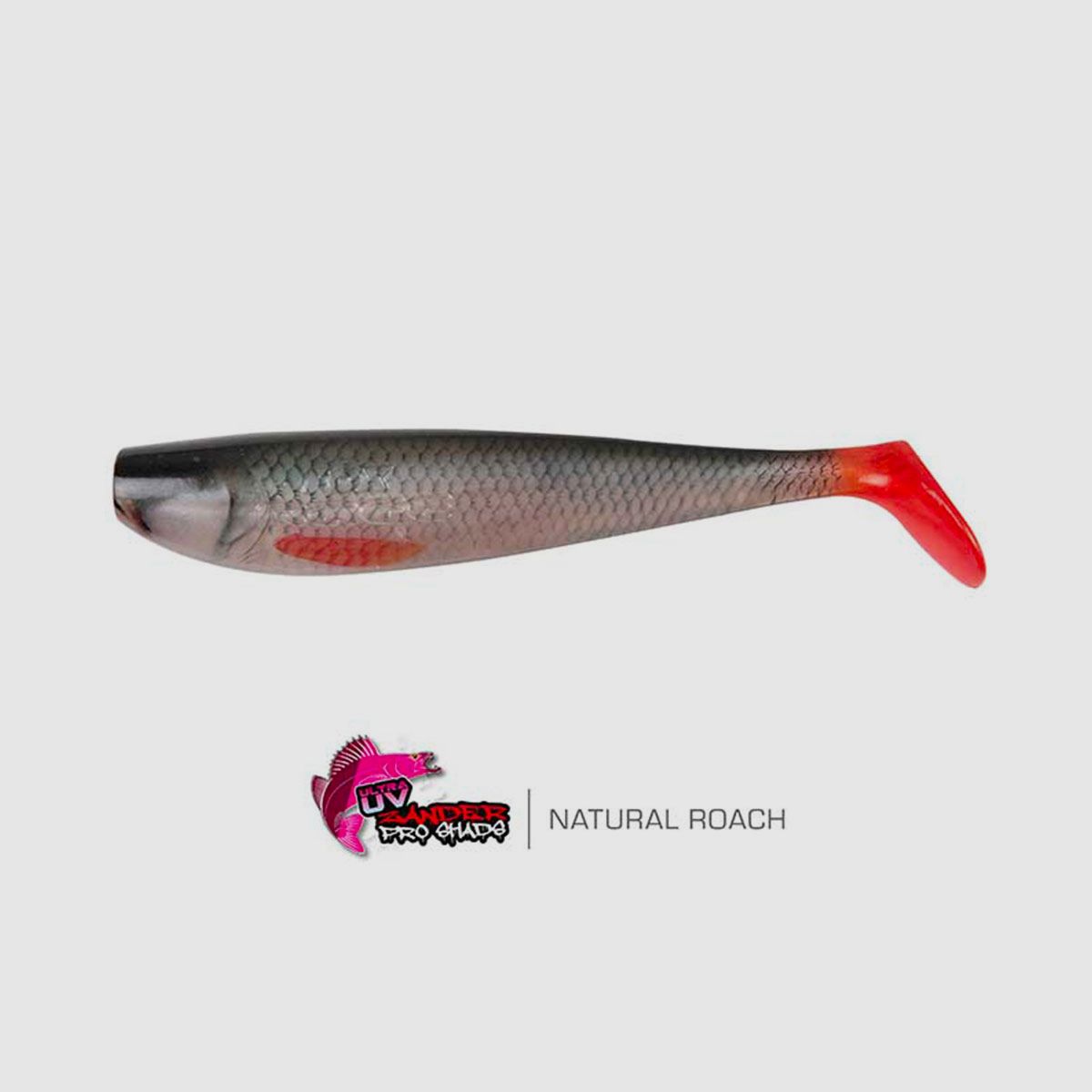 FOX RAGE – NATURALS ZANDER PRO BULK SHADS 16cm 6.3″ | Ultra Realistic Roach, immagine 1 di 4
