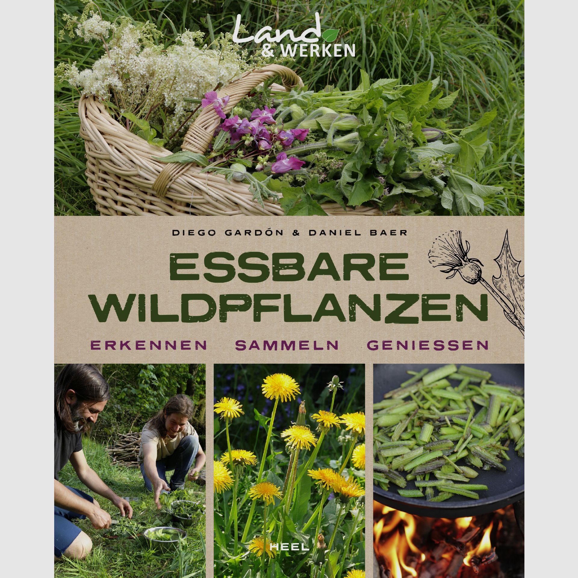 Edible wild plants