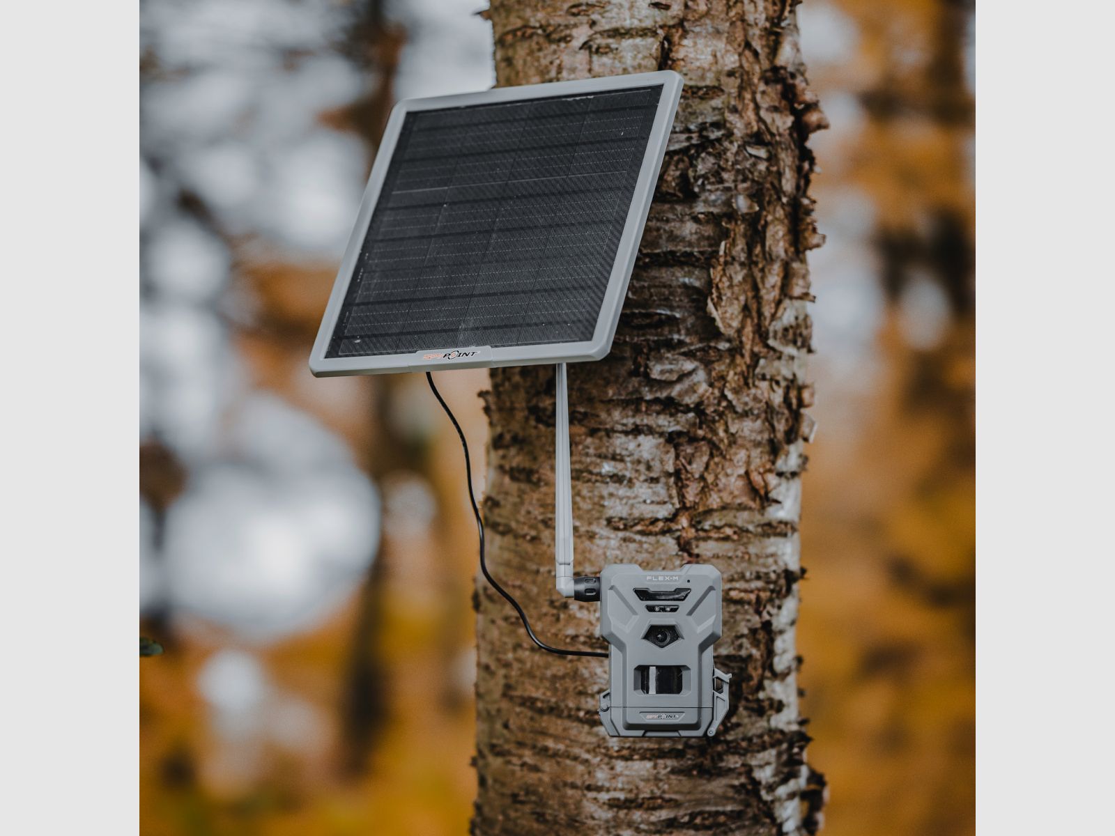 SPYPOINT FLEX-M & SOLAR-22 Bundle/ UN3481/188
