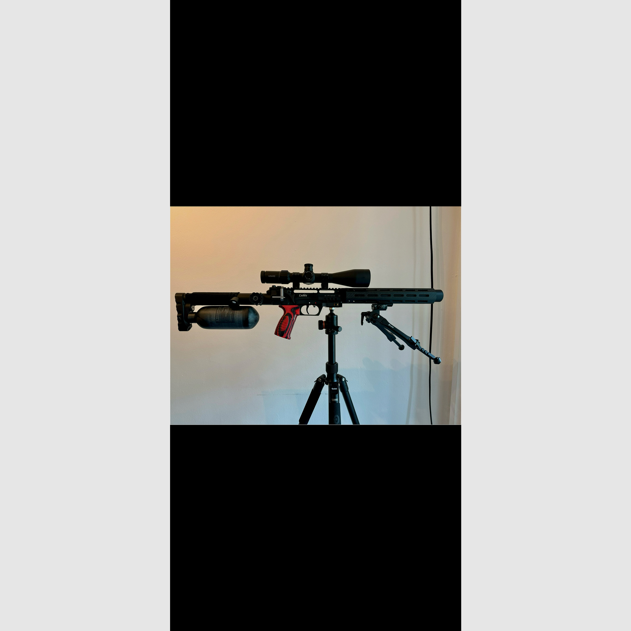 Edgun Leshiy 2 Carbon Vorderschaft Handguard