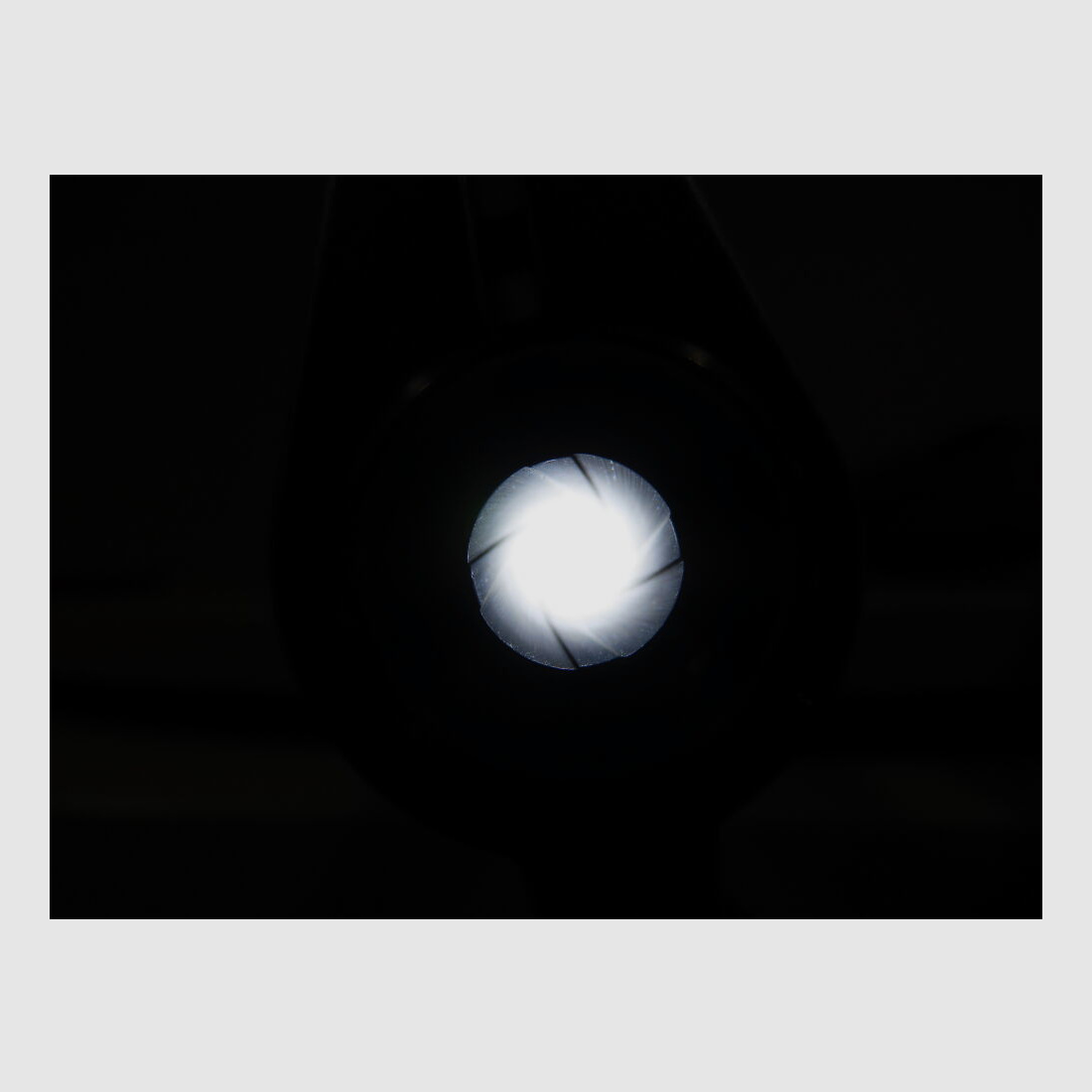 Top Paket Grünig & Elmiger / Schweiz