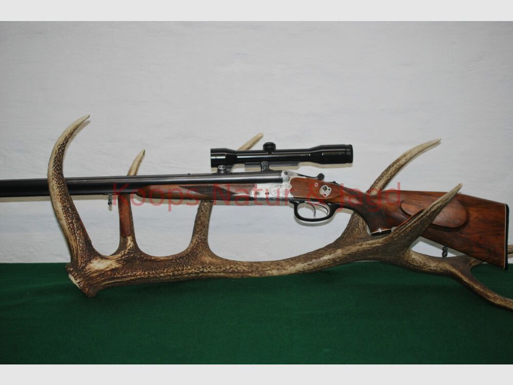 Sauer & Sohn 3000 AL