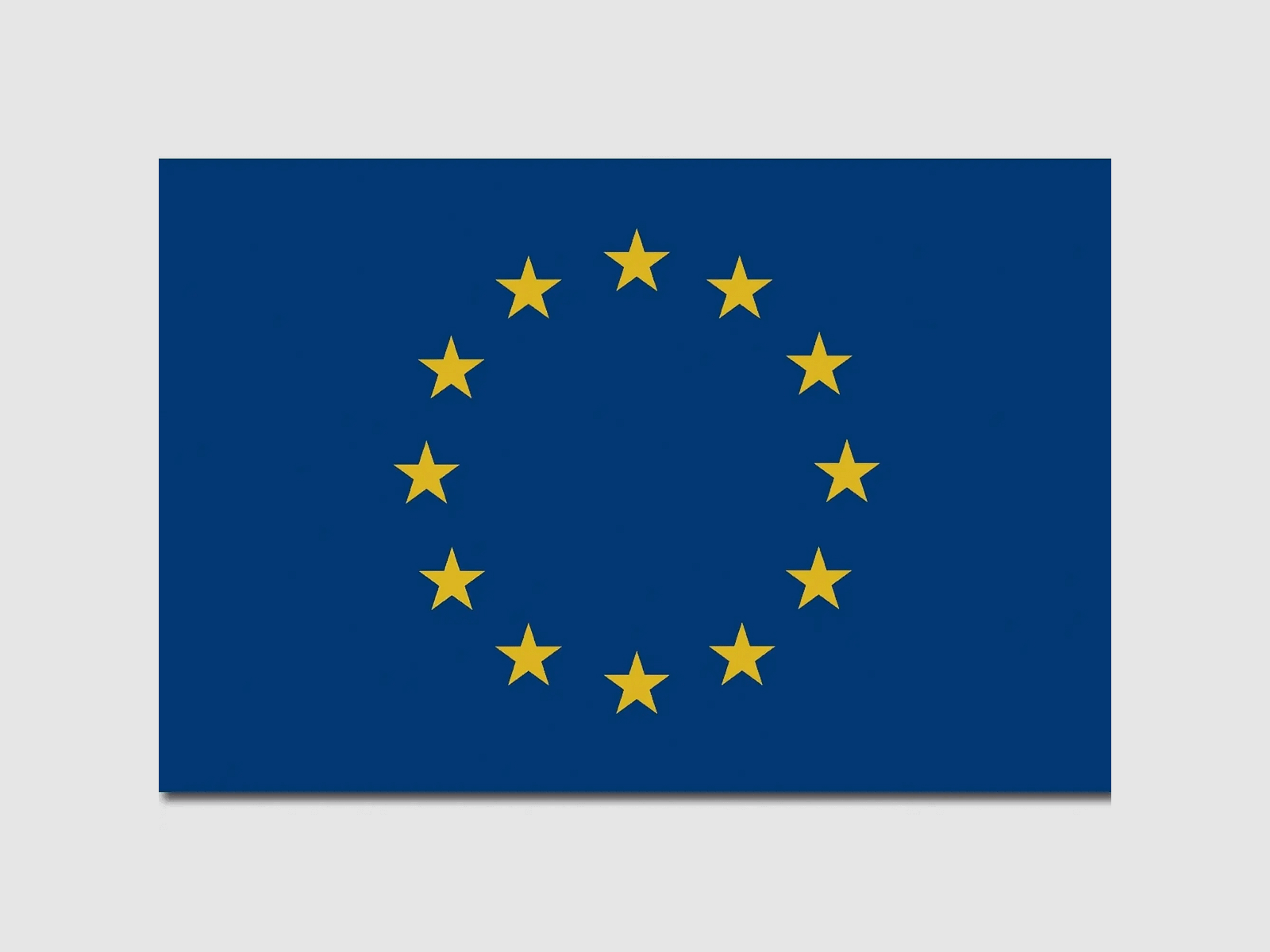 Diverse MFH Flagge Europa