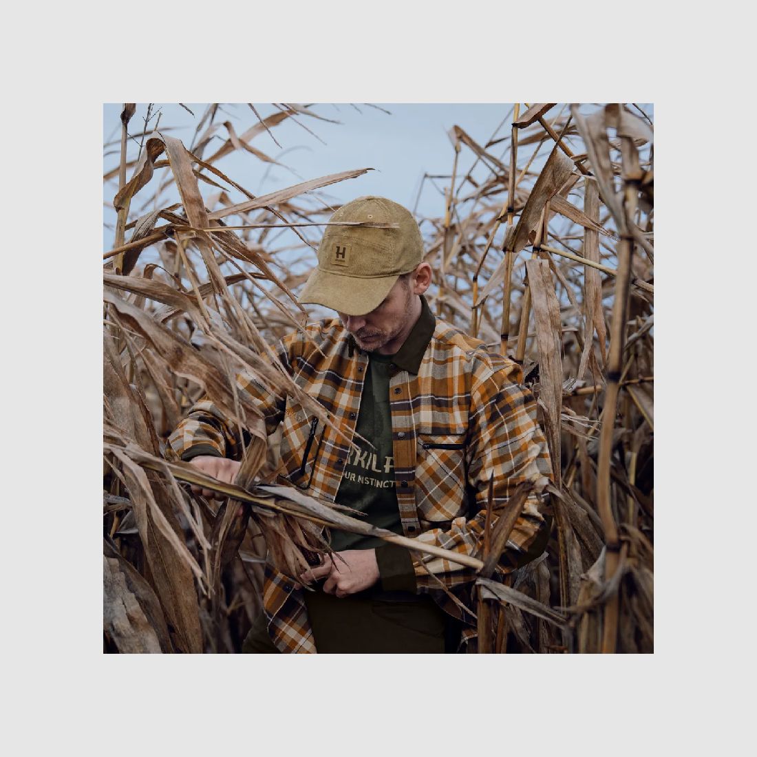 Camicia Härkila Pajala Cornstalk Check, immagine 3 di 7