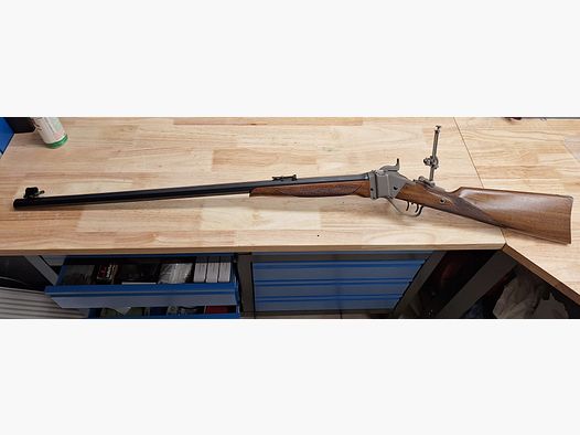 Sharps rifle .45-120 Sharps with aperture sight