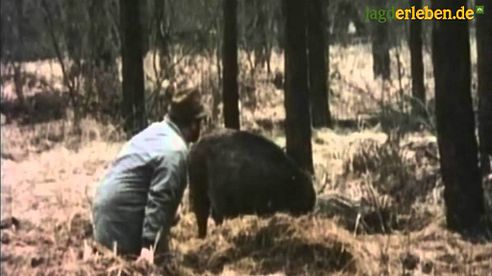 Heinz Meynhardt in freier Wildbahn