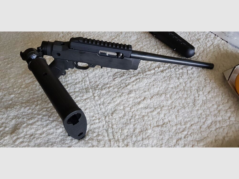 Ruger Charger 22