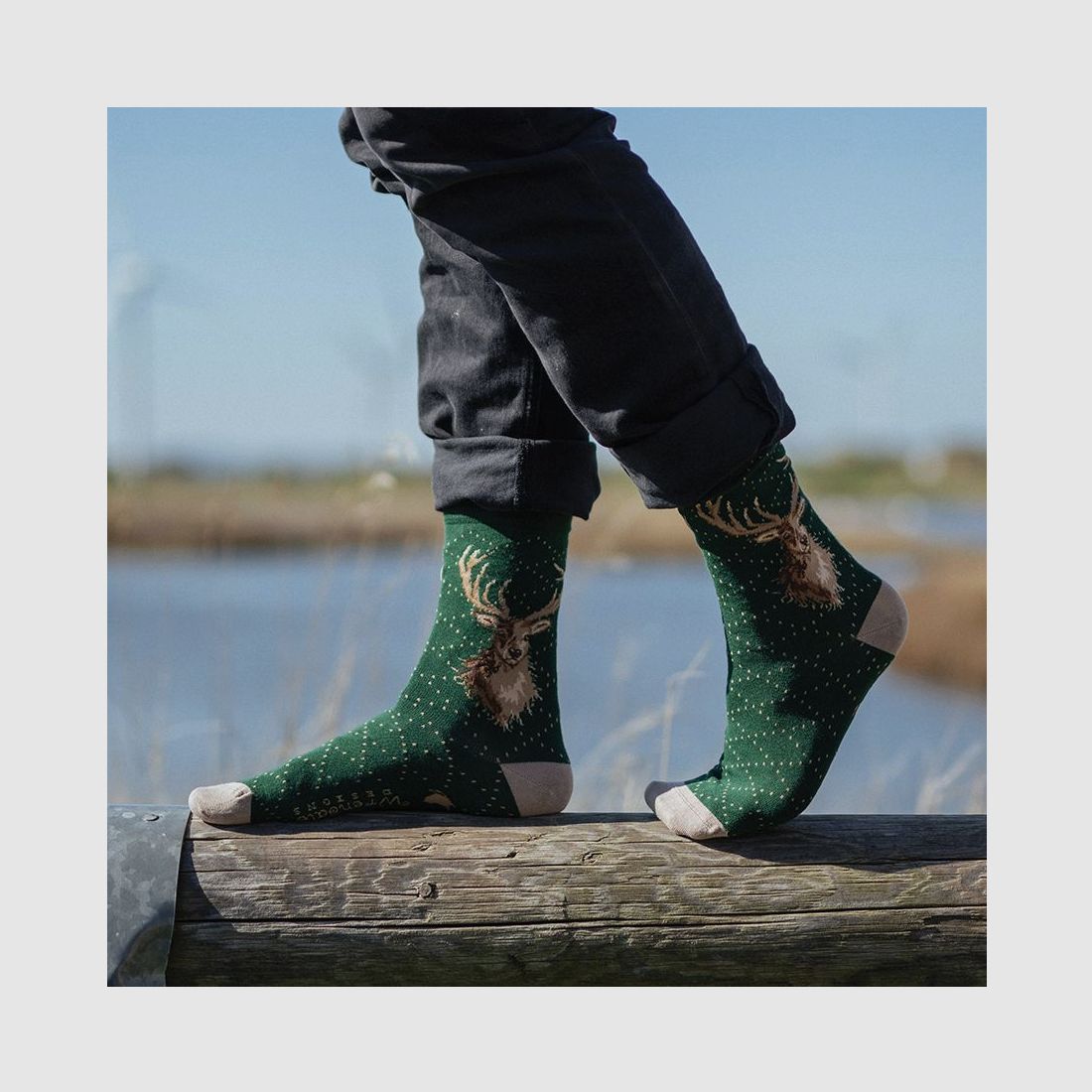 Wrendale Herren - Socken "Portrait of a stag" mit Hirsch