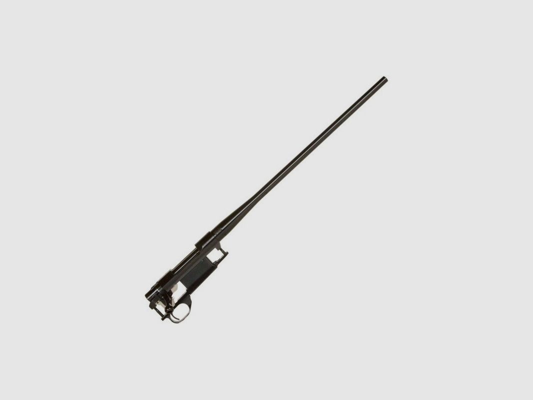 HOWA 1500 Varmint, immagine 3 di 5