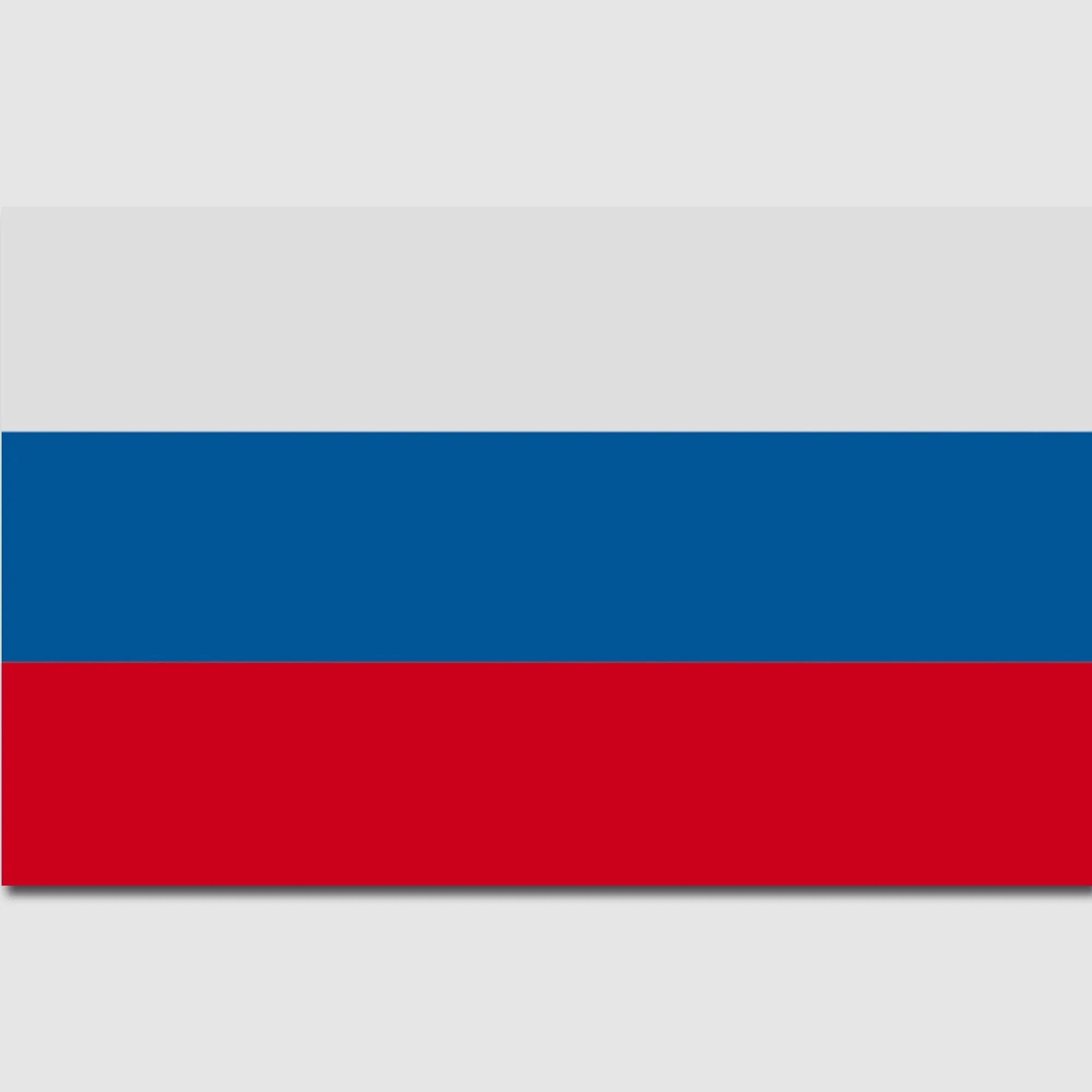 Diverse Flagge Russland