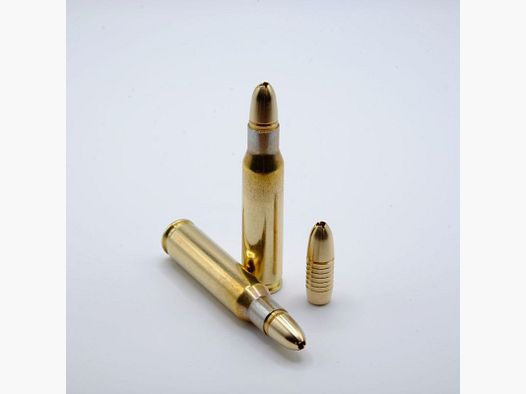 GM – 50 Patronen – Splinter Crown – .308 Win – 7,8 g