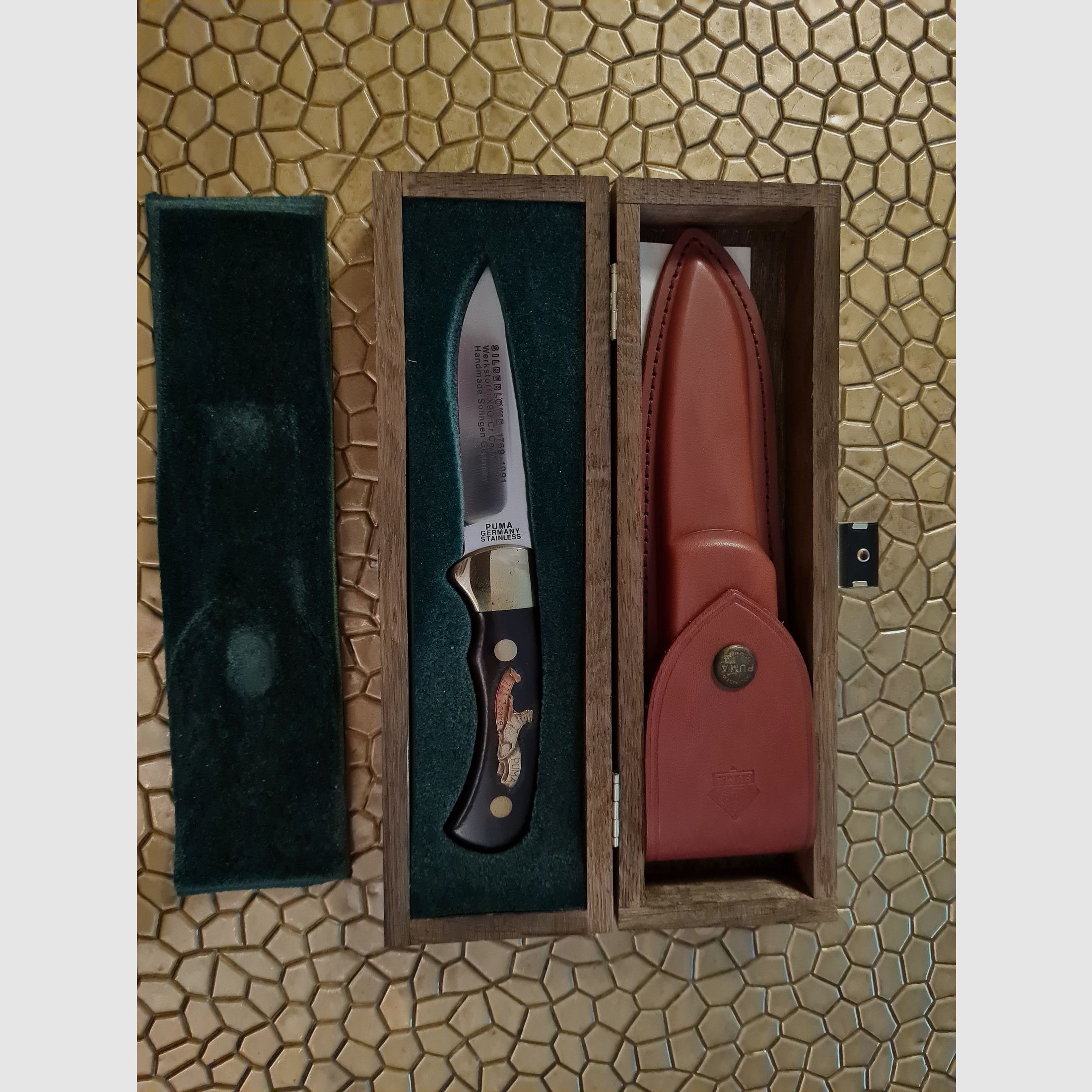 Puma Silberlöwe Nr. 145/222