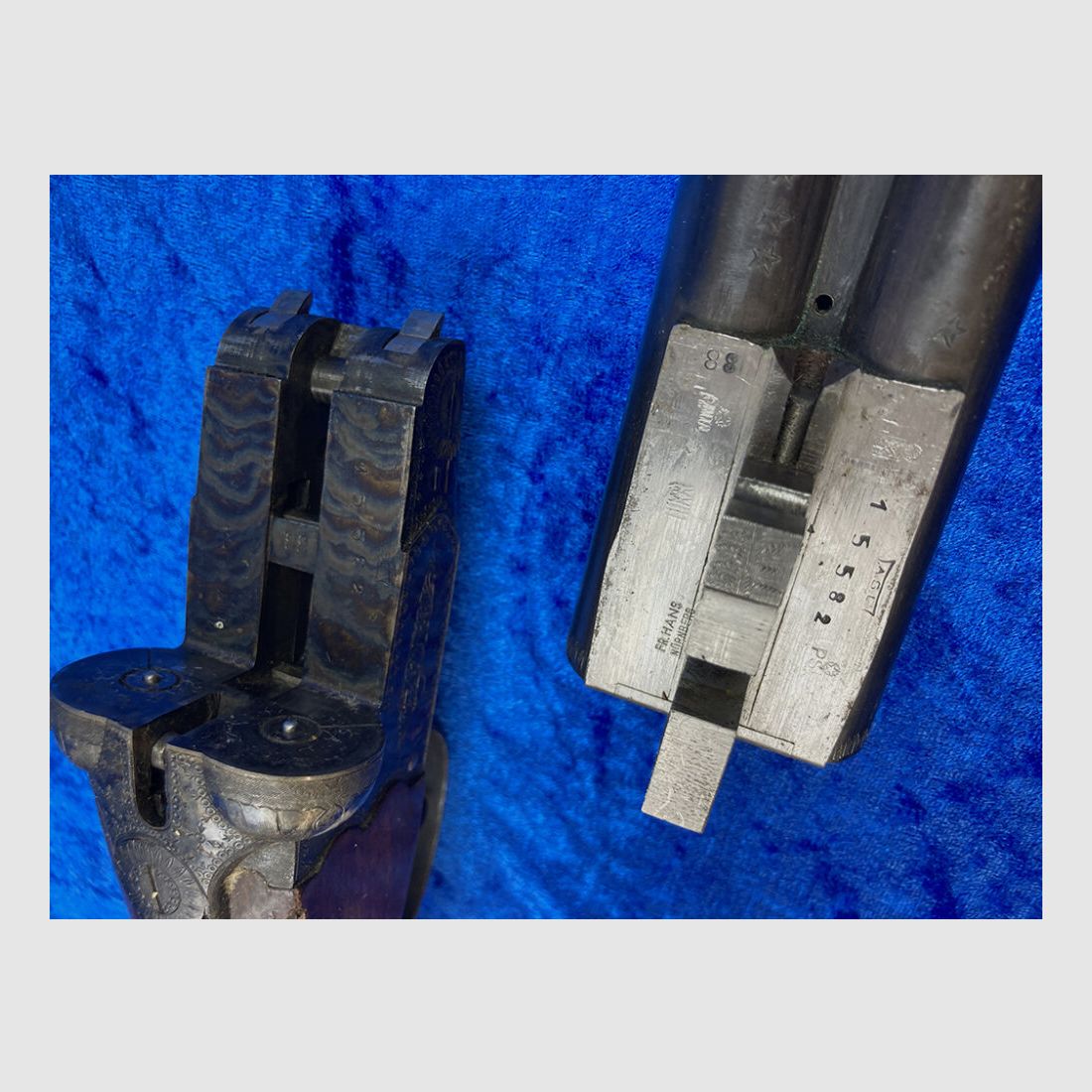 A.S.L. Armi Gnali Consul