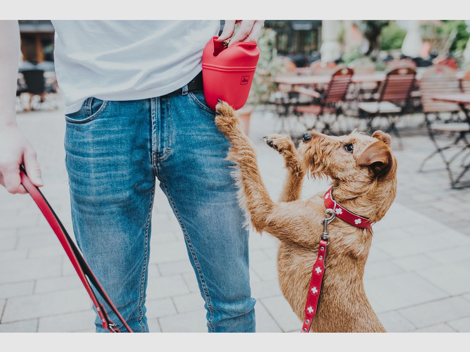 Hunter Halsband Swiss Leder