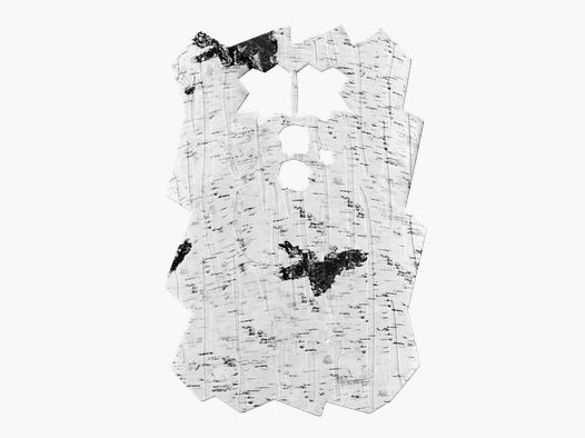 Osłona przednia Minox do DTC 460 (Brzoza)