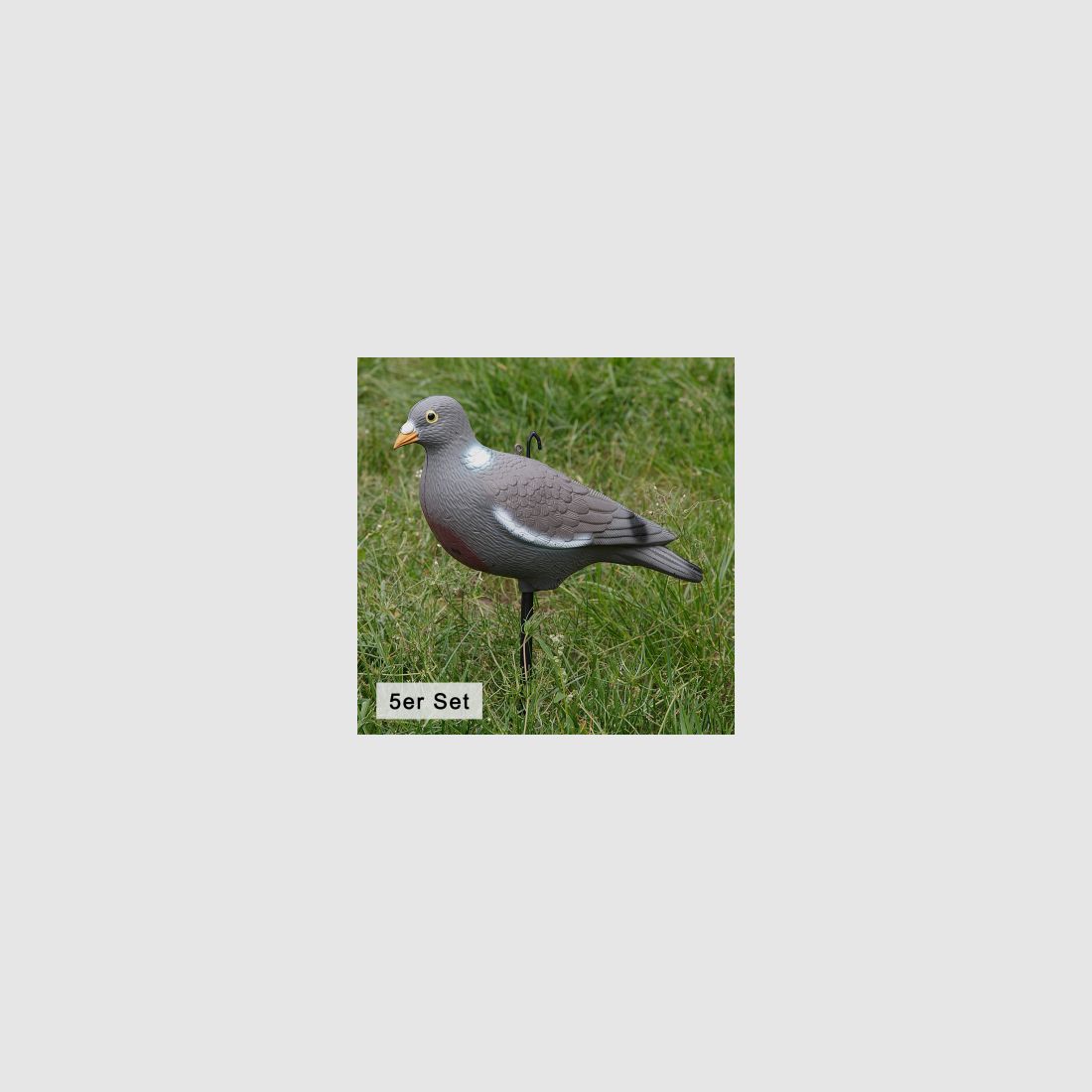 el Lago Passion Ringeltaube Vollschale (set de 5) |