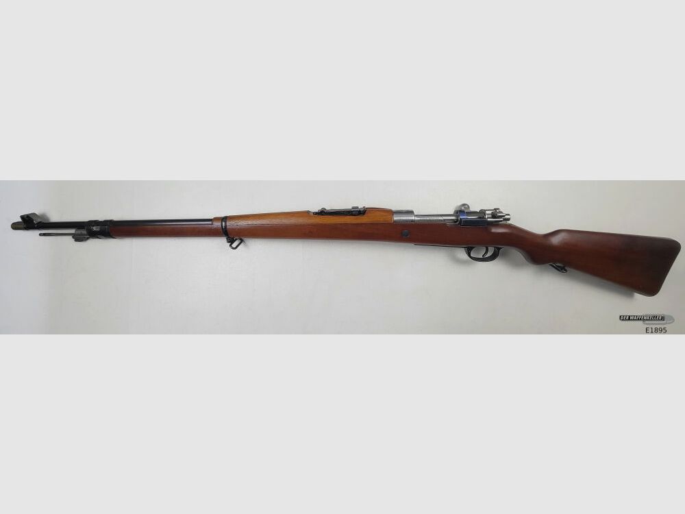 DWM Argentino 1909