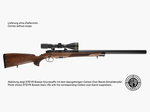 STEYR Breeze SM12