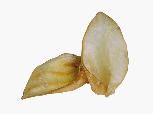 NaturVital Getrocknete Rinderohren 5 Stück