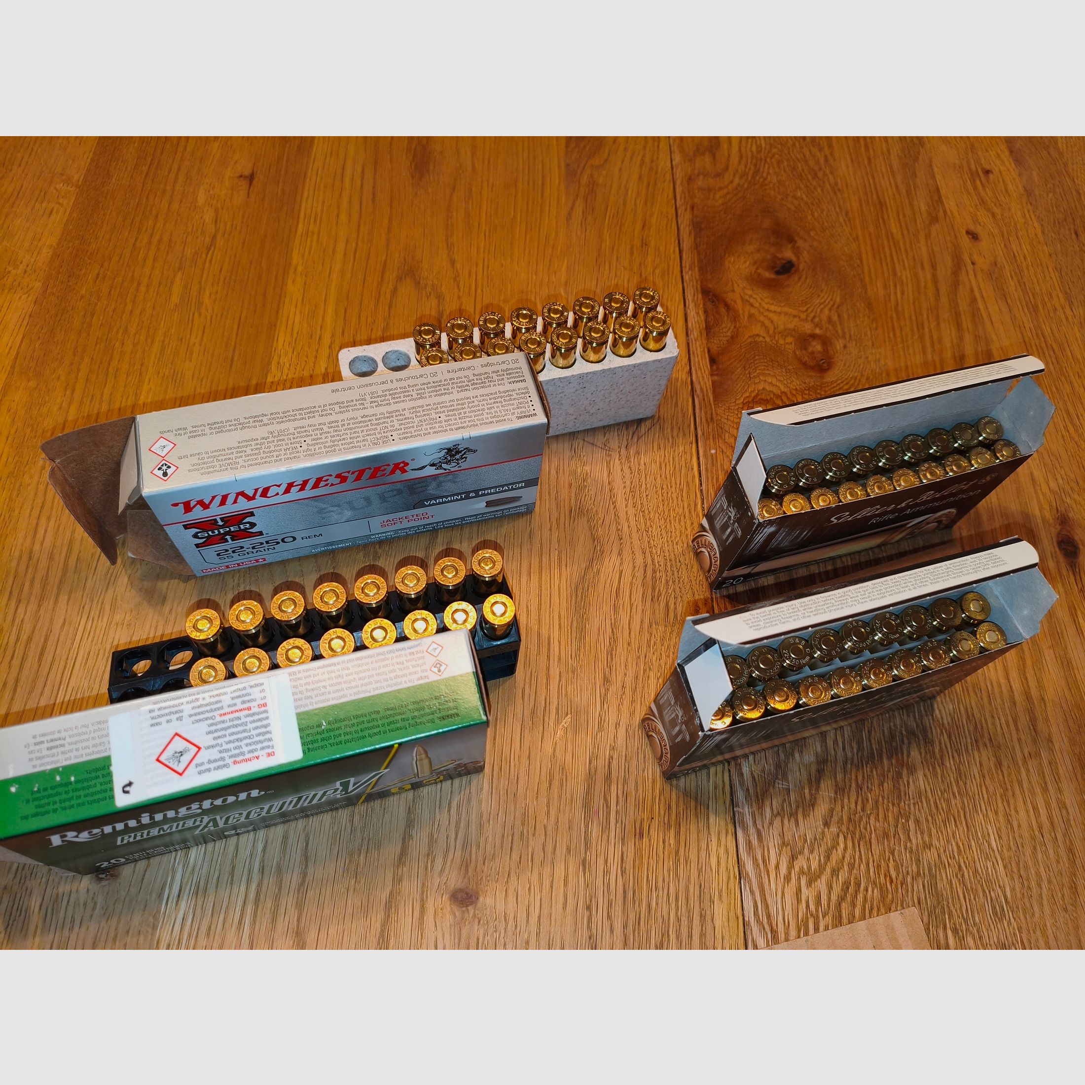 Diverse munizioni da caccia .22-250 (confezione per il collaudo)