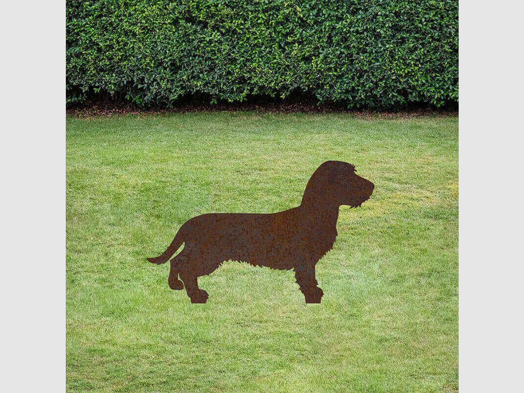 Stecco da giardino decorativo bassotto a pelo ruvido