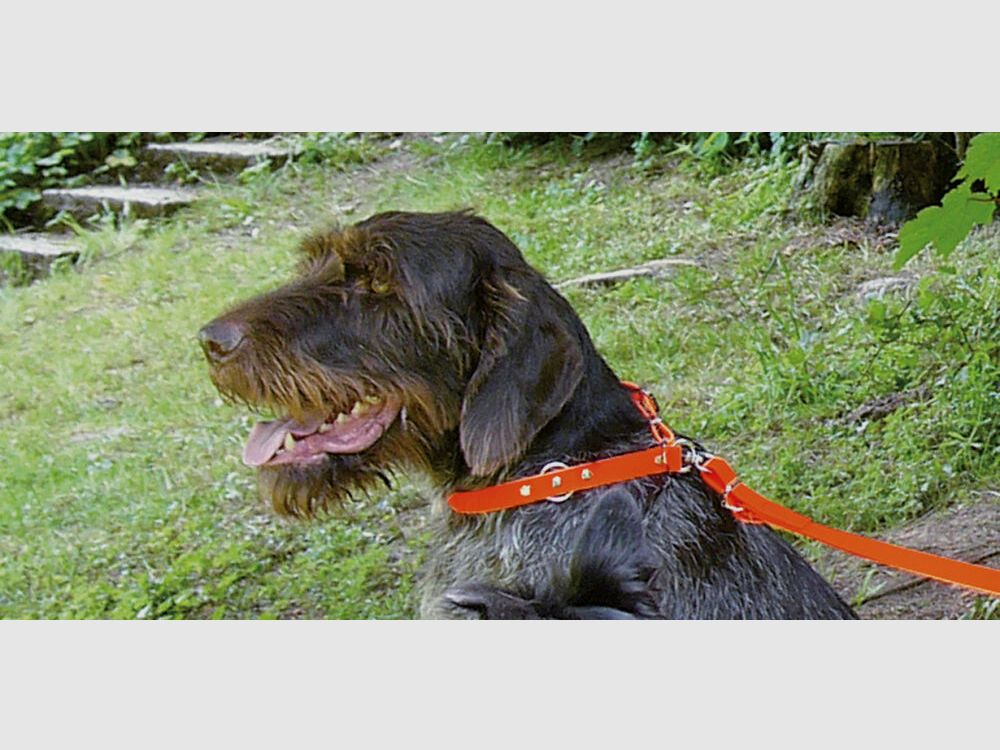 AKAH BioThane® Halsung signalrot