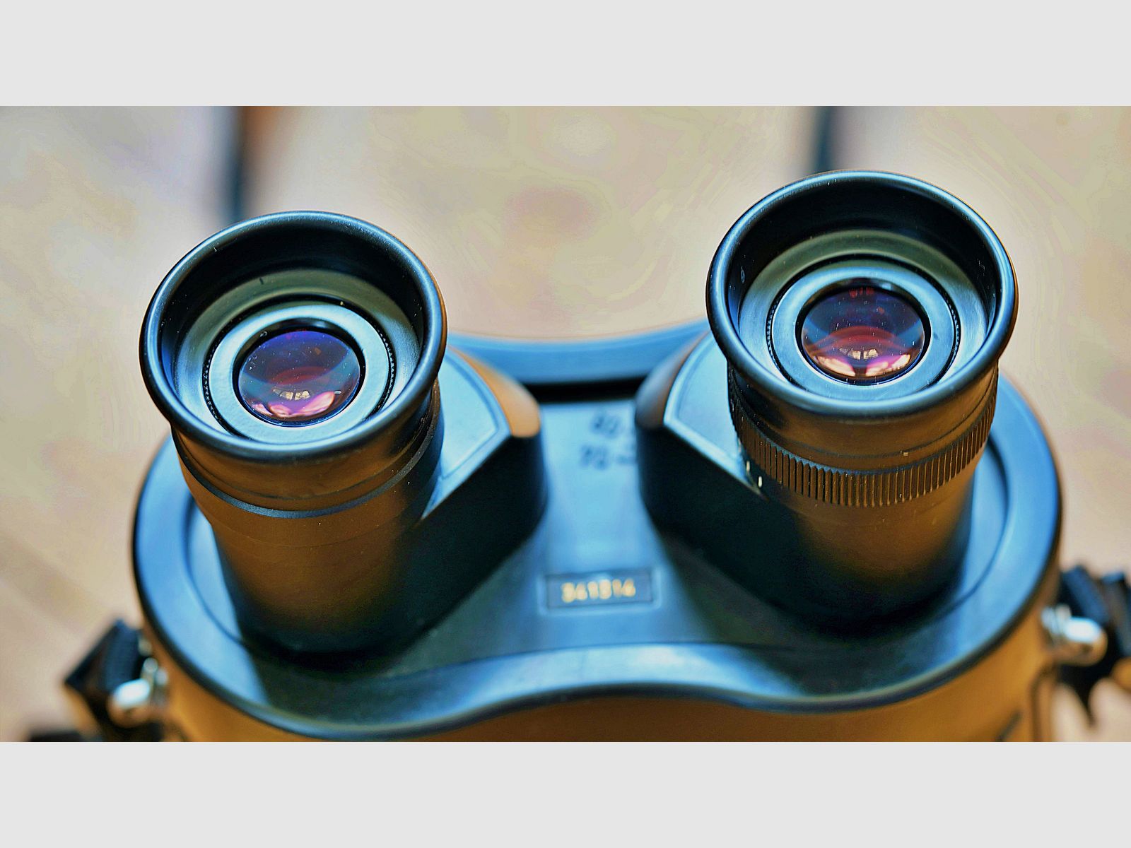 Zeiss 20 x 60 S