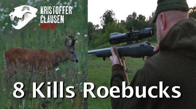 Kristoffer Clausen hunting roebucks 8 kills. Bukkejakt 8 fellinger