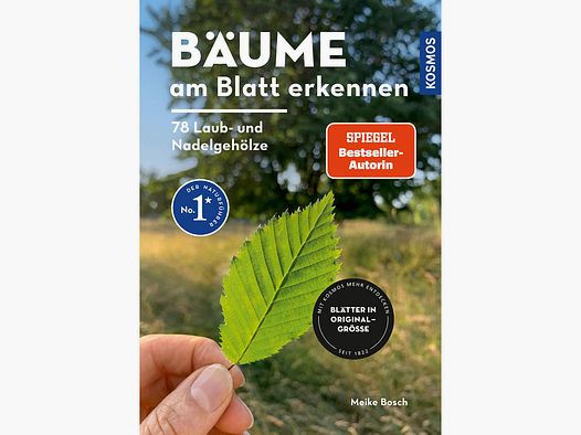 Bäume am Blatt erknennen - 78 Laub- und Nadelgehölze