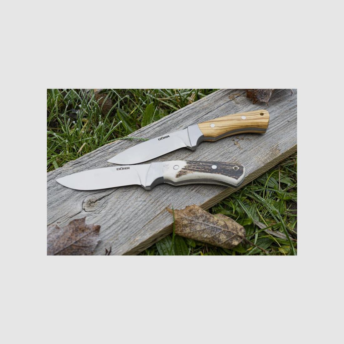 Dörr Jagd Messer Hirschhorn M-110