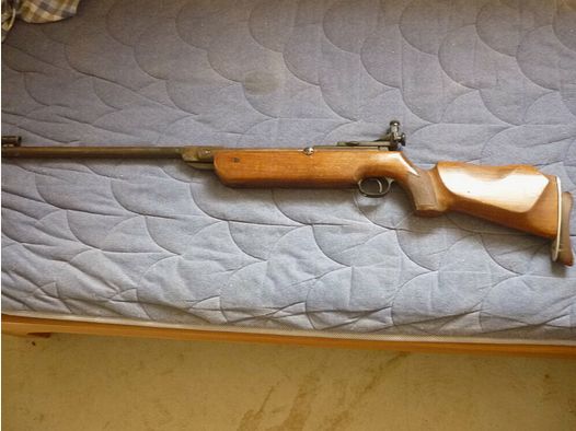 Diana Mod. 60