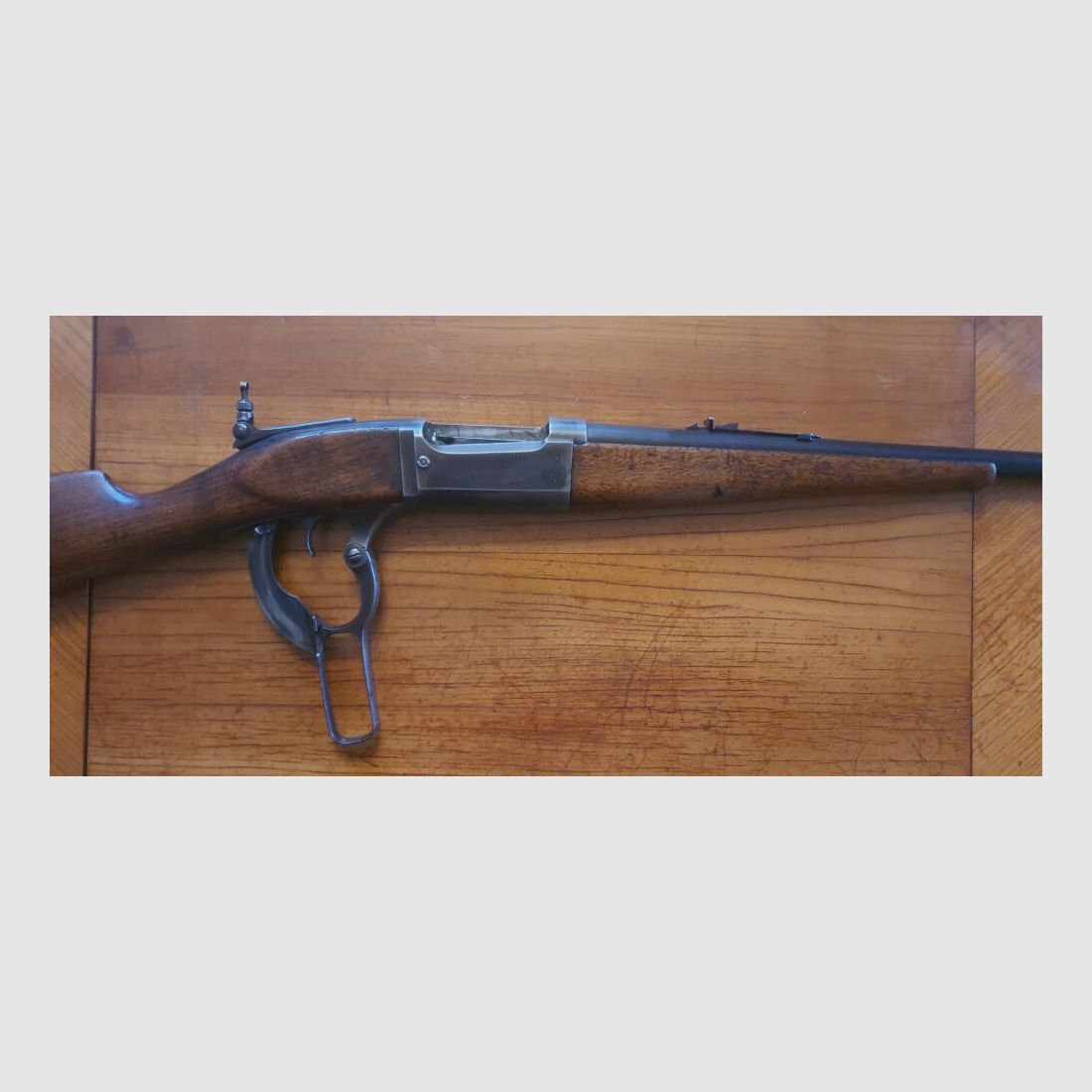 Savage 1899