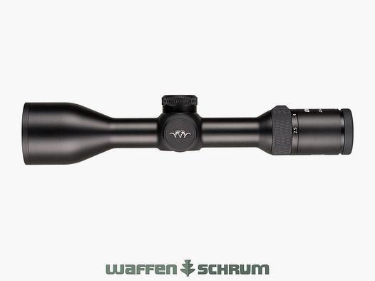 Blaser B2 2,5-15x56 iC S mit Schiene Illumination Control