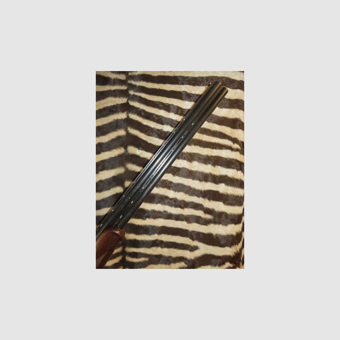 Bockdoppelflinte YILDIZ Kal. 28/70 Läufe 71 cm mit Auszieher, 5 Chokes, englischer Schaft, Bild 2 von 10