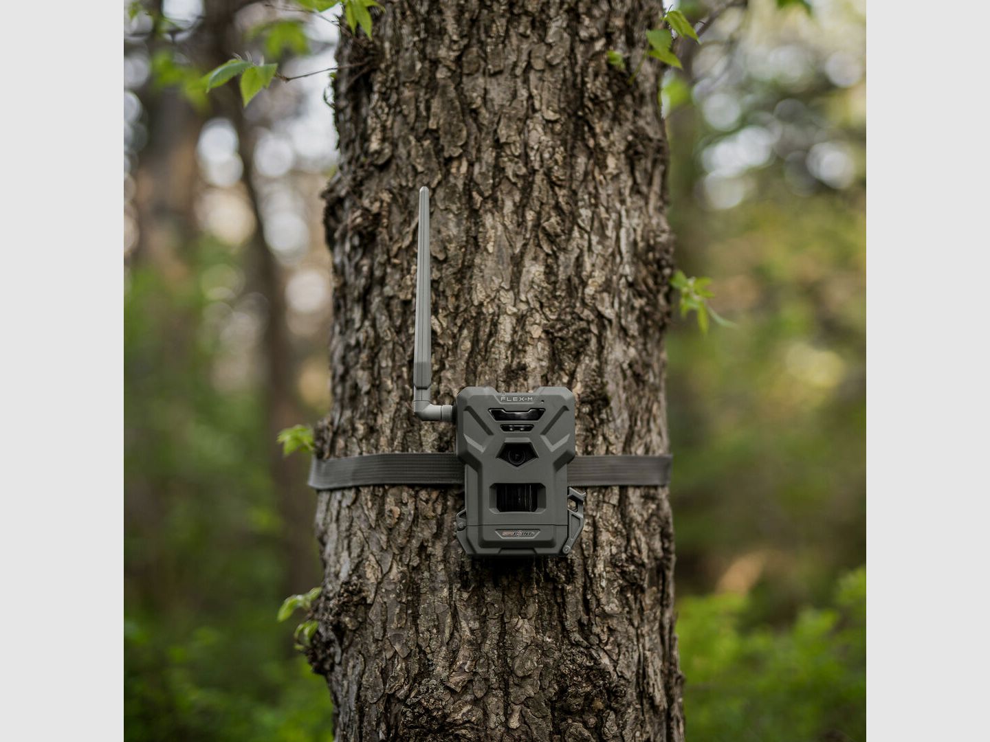 Spypoint Flex-M