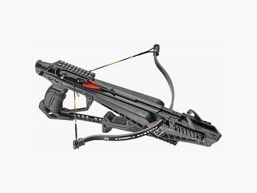 EK ARCHERY COBRA SYSTEME R9