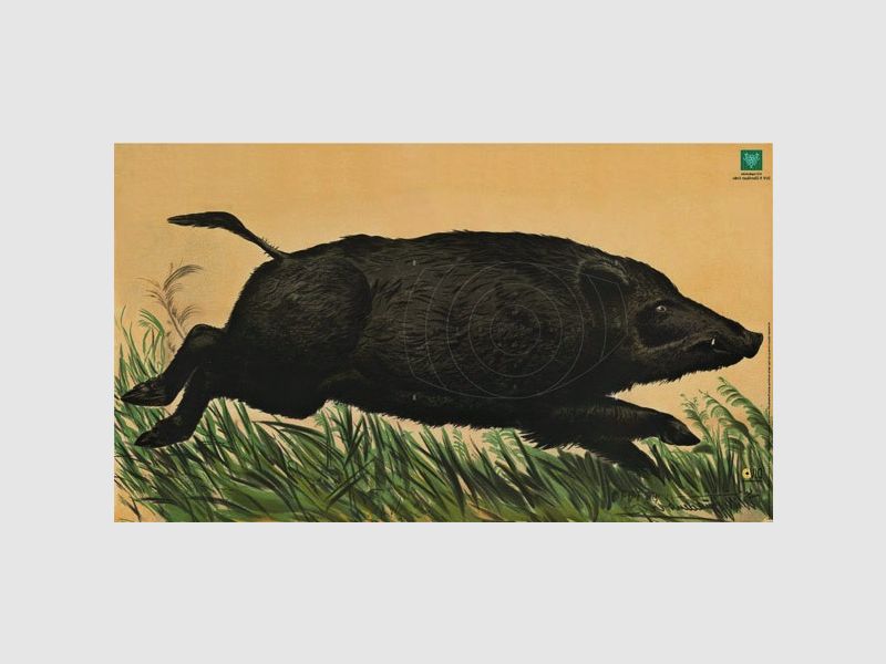 DJV-Scheibe Nr.7 Überläufer rechts