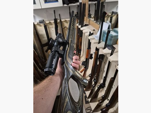 Ruger 10/22 Target Thumbhole