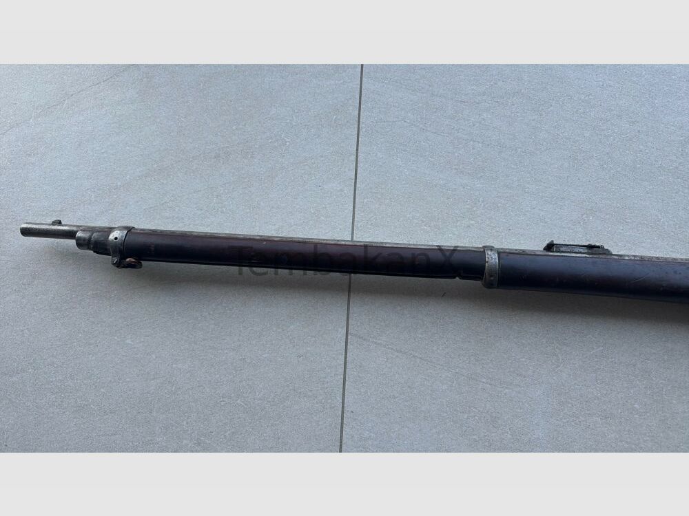 Enfield Bj. 1875 (vermutlich) .445SuperMag